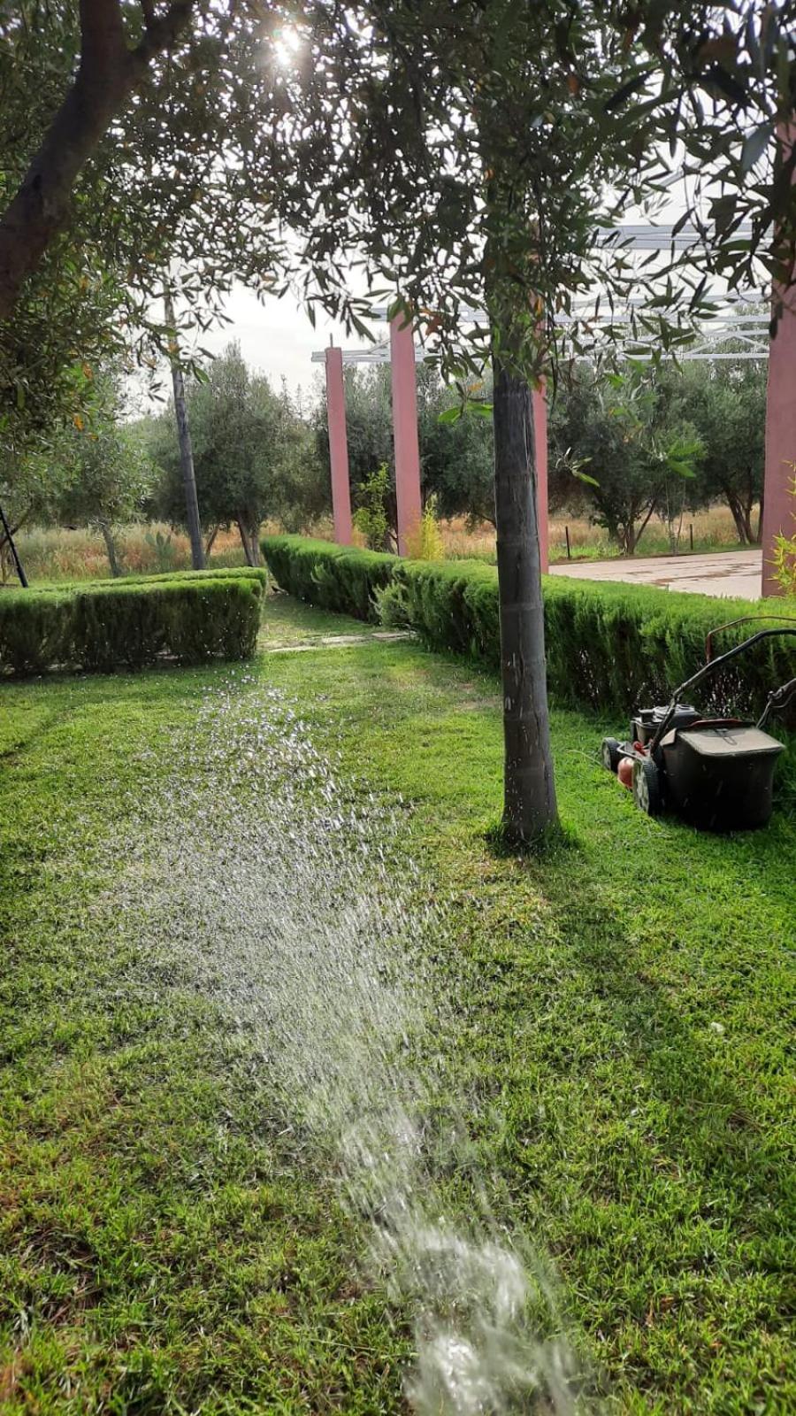 Maison D'Hotes La Ferme Aziza Fès Exteriör bild